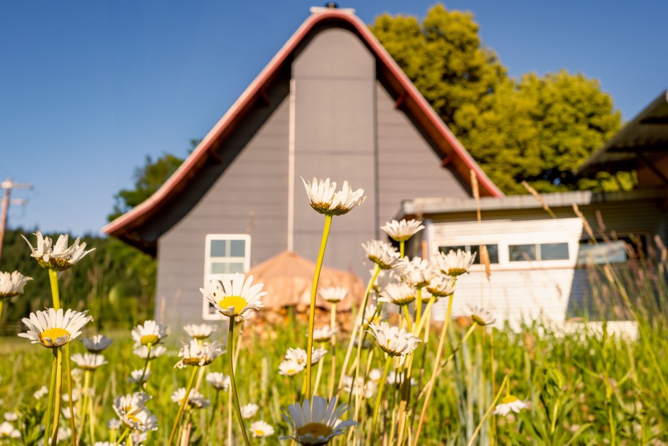 CultivateWellnessCenter-16.jpg